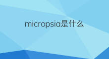micropsia是什么意思 micropsia的中文翻译、读音、例句