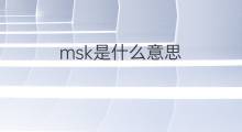 msk是什么意思 msk的中文翻译、读音、例句