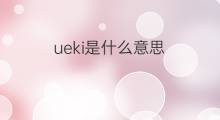 ueki是什么意思 ueki的中文翻译、读音、例句