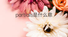 partials是什么意思 partials的中文翻译、读音、例句
