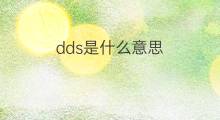 dds是什么意思 dds的中文翻译、读音、例句