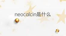 neocalcin是什么意思 neocalcin的中文翻译、读音、例句