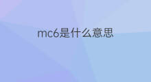 mc6是什么意思 mc6的中文翻译、读音、例句