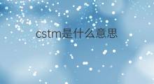 cstm是什么意思 cstm的中文翻译、读音、例句