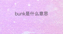 bunk是什么意思 bunk的中文翻译、读音、例句
