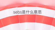 sebs是什么意思 sebs的中文翻译、读音、例句