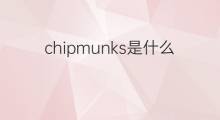chipmunks是什么意思 chipmunks的中文翻译、读音、例句