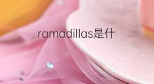 ramadillas是什么意思 ramadillas的中文翻译、读音、例句