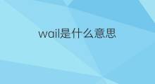 wail是什么意思 wail的中文翻译、读音、例句
