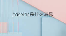 caseins是什么意思 caseins的中文翻译、读音、例句