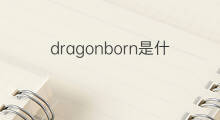 dragonborn是什么意思 dragonborn的中文翻译、读音、例句