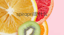 spirapril是什么意思 spirapril的中文翻译、读音、例句