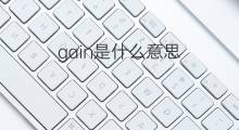 gain是什么意思 gain的中文翻译、读音、例句