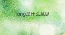 fang是什么意思 fang的中文翻译、读音、例句