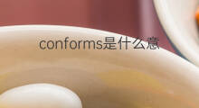 conforms是什么意思 conforms的中文翻译、读音、例句
