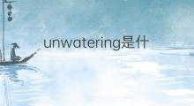 unwatering是什么意思 unwatering的中文翻译、读音、例句
