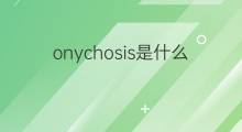 onychosis是什么意思 onychosis的中文翻译、读音、例句