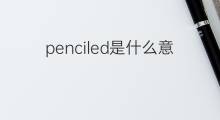 penciled是什么意思 penciled的中文翻译、读音、例句