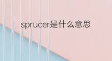 sprucer是什么意思 sprucer的中文翻译、读音、例句