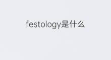 festology是什么意思 festology的中文翻译、读音、例句