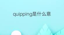 quipping是什么意思 quipping的中文翻译、读音、例句