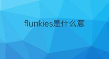 flunkies是什么意思 flunkies的中文翻译、读音、例句