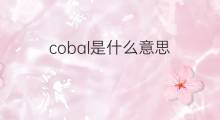 cobal是什么意思 cobal的中文翻译、读音、例句