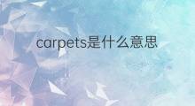 carpets是什么意思 carpets的中文翻译、读音、例句