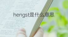 hengst是什么意思 hengst的中文翻译、读音、例句