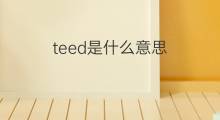 teed是什么意思 teed的中文翻译、读音、例句