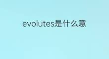 evolutes是什么意思 evolutes的中文翻译、读音、例句