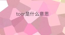 toer是什么意思 toer的中文翻译、读音、例句