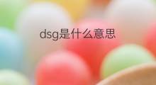 dsg是什么意思 dsg的中文翻译、读音、例句