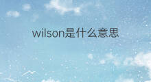 wilson是什么意思 wilson的中文翻译、读音、例句