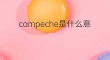 campeche是什么意思 campeche的中文翻译、读音、例句