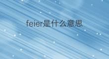 feier是什么意思 feier的中文翻译、读音、例句