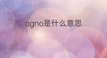 agno是什么意思 英文名agno的翻译、发音、来源