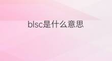 blsc是什么意思 blsc的中文翻译、读音、例句