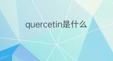 quercetin是什么意思 quercetin的中文翻译、读音、例句