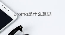 uroma是什么意思 uroma的中文翻译、读音、例句