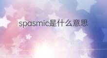 spasmic是什么意思 spasmic的中文翻译、读音、例句