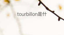 tourbillon是什么意思 tourbillon的中文翻译、读音、例句