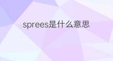 sprees是什么意思 sprees的中文翻译、读音、例句