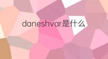 daneshvar是什么意思 daneshvar的中文翻译、读音、例句