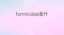 formicidae是什么意思 formicidae的中文翻译、读音、例句