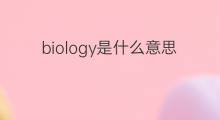 biology是什么意思 biology的中文翻译、读音、例句