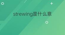 strewing是什么意思 strewing的中文翻译、读音、例句