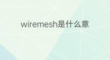 wiremesh是什么意思 wiremesh的中文翻译、读音、例句