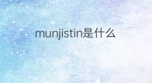 munjistin是什么意思 munjistin的中文翻译、读音、例句