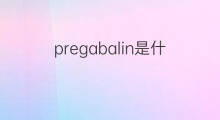 pregabalin是什么意思 pregabalin的中文翻译、读音、例句